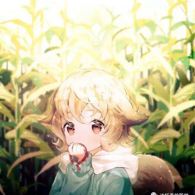 瑞典国王疑似忽视泽连斯基握手